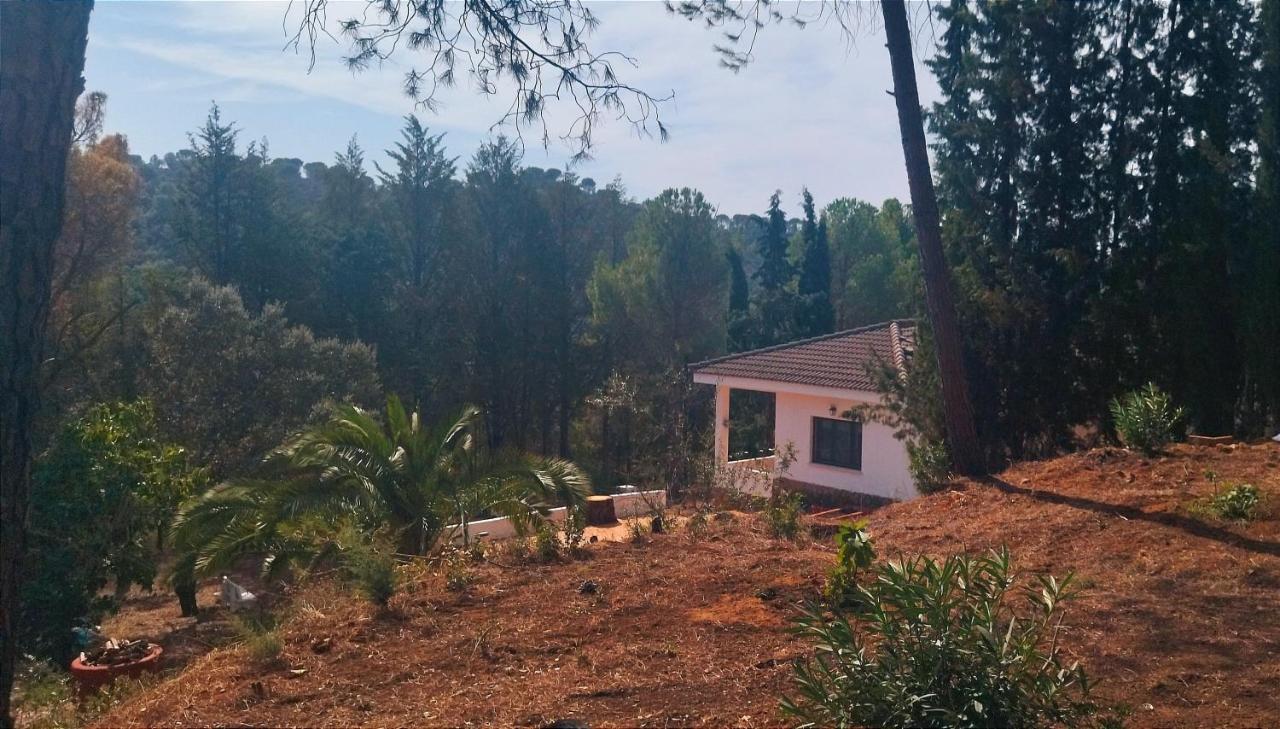 Bonita Casa Blanca En El Bosque. Vila Córdova Exterior foto
